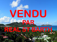 St Barthelemy appartement a vendre